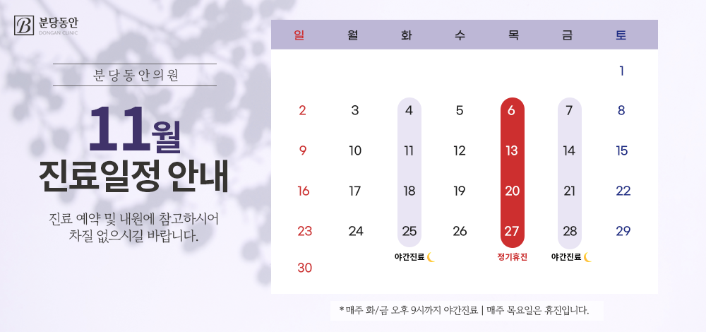 11월 진료일정