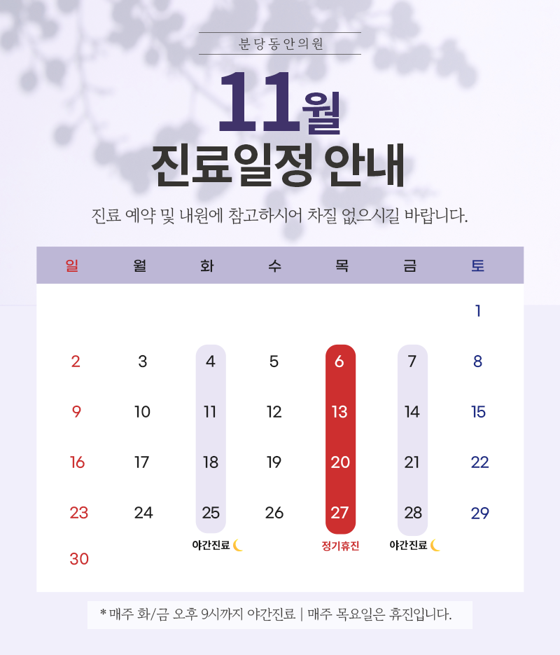 11월 진료일정